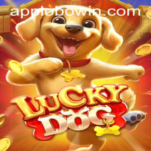 Discovering LuckyDog: Rules and Gameplay